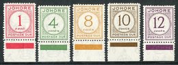 6984 JOHORE 1938 Postage Due Set Complete, SG D1/5, Very Fine And Fresh Bottom Marginal Mint (5 Stamps) For More Images, - Other & Unclassified