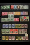 7589 1884-1968 MINT ACCUMULATION Presented On Stock Pages. A Useful Selection That Includes QV 1890-97 Set, KEVII Ranges - Saint Helena Island