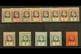 7757 1903 Ed VII Set, Wmk CA, Overprinted "Specimen", SG 73s/85s, Very Fine Mint. (13 Stamps) For More Images, Please Vi - Sierra Leone (...-1960)