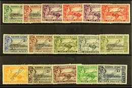 7765 1938 Geo VI Set Complete, Perforated "Specimen", SG 188s/200s, Very Fine Mint , Large Part Og. (16 Stamps) For More - Sierra Leone (...-1960)