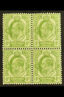 7812 CAPE OF GOOD HOPE 1902-04 4d Olive Green, SG 75, Never Hinged Mint Block Of Four, The Upper Pair With Light Bend Fo - Unclassified