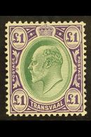 7854 TRANSVAAL 1904 £1 Green And Violet, Ed VII, On Chalk Paper, SG 272a, Superb Mint. Lovely Stamp. For More Images, Pl - Unclassified