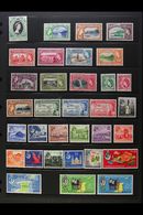8088 1953-61 NEVER HINGED MINT COLLECTION Presented On A Stock Page, An Attractive, Highly Complete Range To Both $4.80  - Trinidad & Tobago (...-1961)