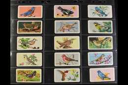 8225 BROOKE BOND CANADA SETS 1959-73 All Different Collection Of Complete Sets Of 48, With 1959 Songbirds, 1961 Wild Flo - Other & Unclassified