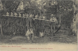 LANDES - Chasseurs De Palombes - Les Appeaux   -ed. F Bernède - Morcenx - Morcenx