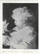 Peinture - Tableau De Peter Paul Rubens: L'Enfant à L'Oiseau (Berlin) - Bulloz Photo - Other & Unclassified