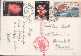 3191    Postal Monte- Carlo 1981 , Souvernir , Monaco - Storia Postale