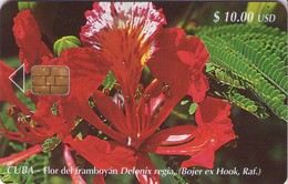 CUBA. Flor Del Framboyán (Delonix Regia). 2000-02. 30000 Ex. CU-099. (399) - Cuba