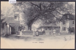 Genève Canton : Céligny - La Place Avec Le Grand Arbre Et L'église (14'664) - Céligny