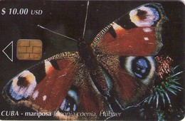 CUBA. BUTTERFLY. Mariposa - Junonia Coenia, Hubner. 2000-12. 30000 Ex. CU-102. (407) - Cuba