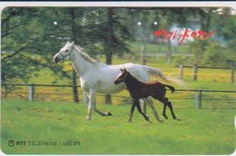 HORSE - JAPAN - H178 - 430-216 - Caballos