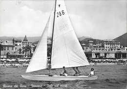 Riviera Dei Fiori - Varazze - Vele Sul Mare (Voiles Sur La Mer) - Voilier Quillard Star - Voile