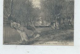 Périgny (94) : Pêcheur Dans Les Saules Aux Bords De L'Yerres En 1910 (animé) PF - Perigny