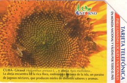 CUBA. Sunflower 2. GIRASOL. 2003-01. 75000 Ex. CU-UR-031. (279) - Cuba