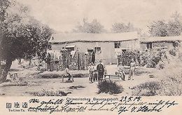 K 501 - Tu-Lien-Ta, Chinesisches Bauerngehöft, 1908 Gelaufen - Ehemalige Dt. Kolonien