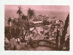 Cp , MONACO , Rocher Vu Des Jardins éxotiques , Vierge Ed : Rella - Giardino Esotico