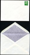 Bund PU8 A1/001b Privat-Umschlag GRAU GEMASERT ** 1954  NGK 20,00 € - Enveloppes Privées - Neuves