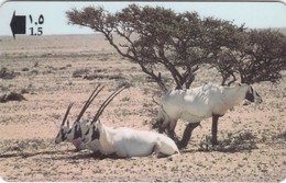 Oman,  33OMNN, Arabian Oryx, 2 Scans. - Oman