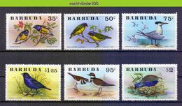 Mwe2535 FAUNA VOGELS KILLDEER GALLINULE COWBIRD BIRDS VÖGEL AVES OISEAUX BARBUDA 1976 PF/MNH - Collections, Lots & Series