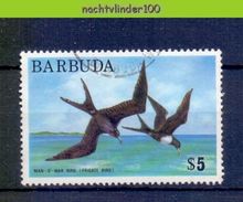 Mwe2539 FAUNA VOGELS FREGATVOGEL MAN-O-WAR BIRD FRIGATEBIRD BIRDS VÖGEL AVES OISEAUX BARBUDA 1974 Gebr/used - Albatros