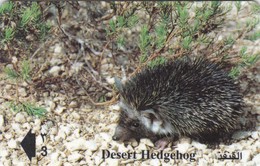 Oman,  41OMNC, Desert Hedgehog, 2 Scans. - Oman