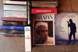 Lot De 13 Biographies Différentes, Histoire, Auteurs Classiques, Musique.... - Loten Van Boeken