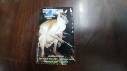 Indonesia-(s266)-animals-kangguru Irian-the Agile Wallaby-(60units)-used - Indonesia