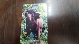 Indonesia-(s322)-animals-gajah Sumatra-(125units)-used - Indonesia
