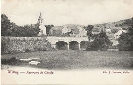 Chanly - Panorama De Chanly Avec Pont - Circulé 1908 - Edit. J. Banneux, Wellin - SUPER - Wellin