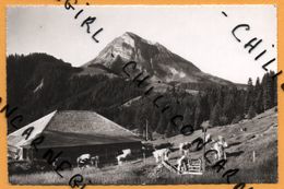 Le Moléson - Gruyère - Vaches - Panorama De Montagnes - S. GLASSON Photo BULLE - 1955 - Bulle