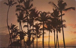Hawaii Sunset Over At Waikiki Beach 1977 - Oahu