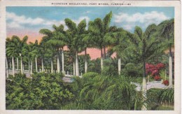 Florida Fort Myers McGregor Boulevard 1937 - Fort Myers