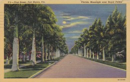 Florida Fort Myers Moonlight Over Royal Palms Along First Street 1953 Curteich - Fort Myers