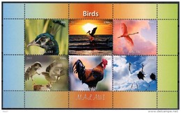 2011 - Faune, Oiseaux Divers, Flamants Rose, Cock  - BF 6 Val Neufs  // Mnh - Flamingo's