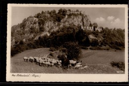 Singen Hohentwiel - S/w Am Hohentwiel Hegau   Mit Schäfer Und Schafen - Singen A. Hohentwiel