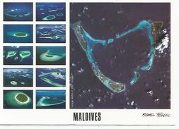 Maldives ( Voir Timbre Dauphin - Maldive