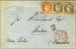 GC 1065 / N° 38 + 56 (2) Càd T 17 COGNAC (15) Sur Lettre Pour Pictou (Canada), Au Verso Càd D'arrivée Halifax. 1874. - T - 1871-1875 Ceres