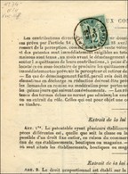 Càd NICE / ALPES MARITIMES / N° 74 Sur Imprimé. 1877. - TB / SUP. - 1876-1878 Sage (Type I)