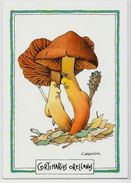 CPM Champignon Mushroom Non Circulé Position Humaine - Mushrooms