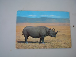 African Wild Life Rhino Kenya Air Mail - Rhinocéros