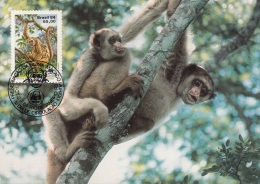 BRASIL - Der Spinnenaffe, WWF-Karte Mit Sondermarke - Cartas & Documentos