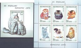 2010. Azerbaijan, Domestic Cats, Sheetlet + S/s, Mint/** - Azerbaïdjan