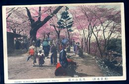 Cpa Du Japon Tokyo Cherry Blossoms In Asuakyama   SEP17-45 - Tokyo