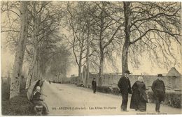 44/CPA A - Ancenis - Les Allées St Pierre - Ancenis