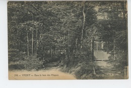 Delcampe - YPORT - Dans Le Bois Des Hogues - Yport