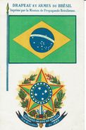 BRASIL-DRAPEAU ET ARMES DU BRESIL - Rio De Janeiro