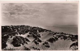 BRAY DUNES - DANS LES DUNES - Bray-Dunes