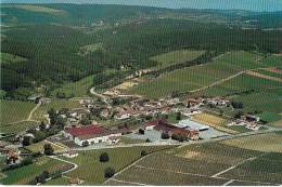 71 - LUGNY : CAVE De LUGNU ( Groupement De Producteurs ) CPM GF 1996 - Saône Et Loire ( Vins Vignobles Viticulture ) - Autres & Non Classés