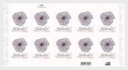 IJsland / Iceland - Postfris / MNH - Sheet IJslandse Wilde Vegetatie 2017 - Ongebruikt