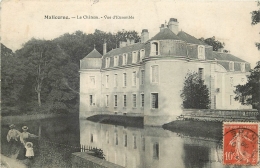 MALICORNE     CHATEAU   CACHET - Malicorne Sur Sarthe